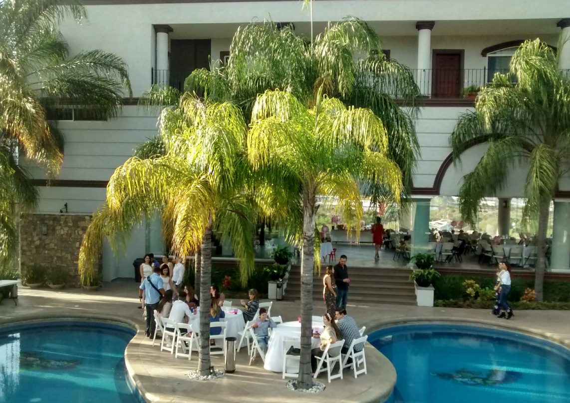 Rincones entre palmeras